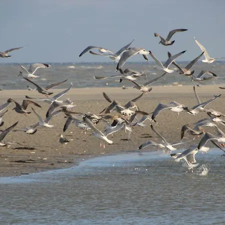 Deichhotel Rose 3* Juist